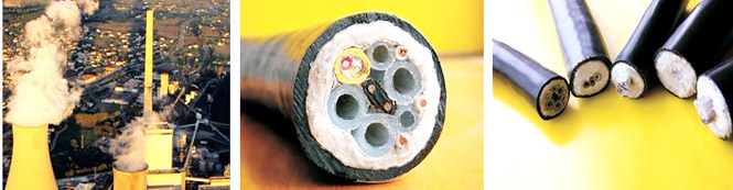 煙氣在線監(jiān)測(cè)采樣伴熱管線(圖1)